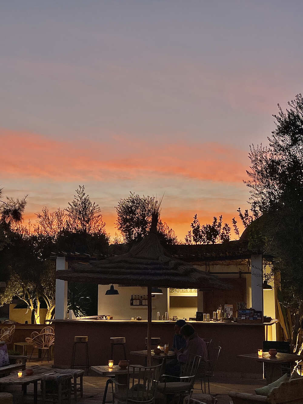 MANZIL LA TORTUE restaurant diner