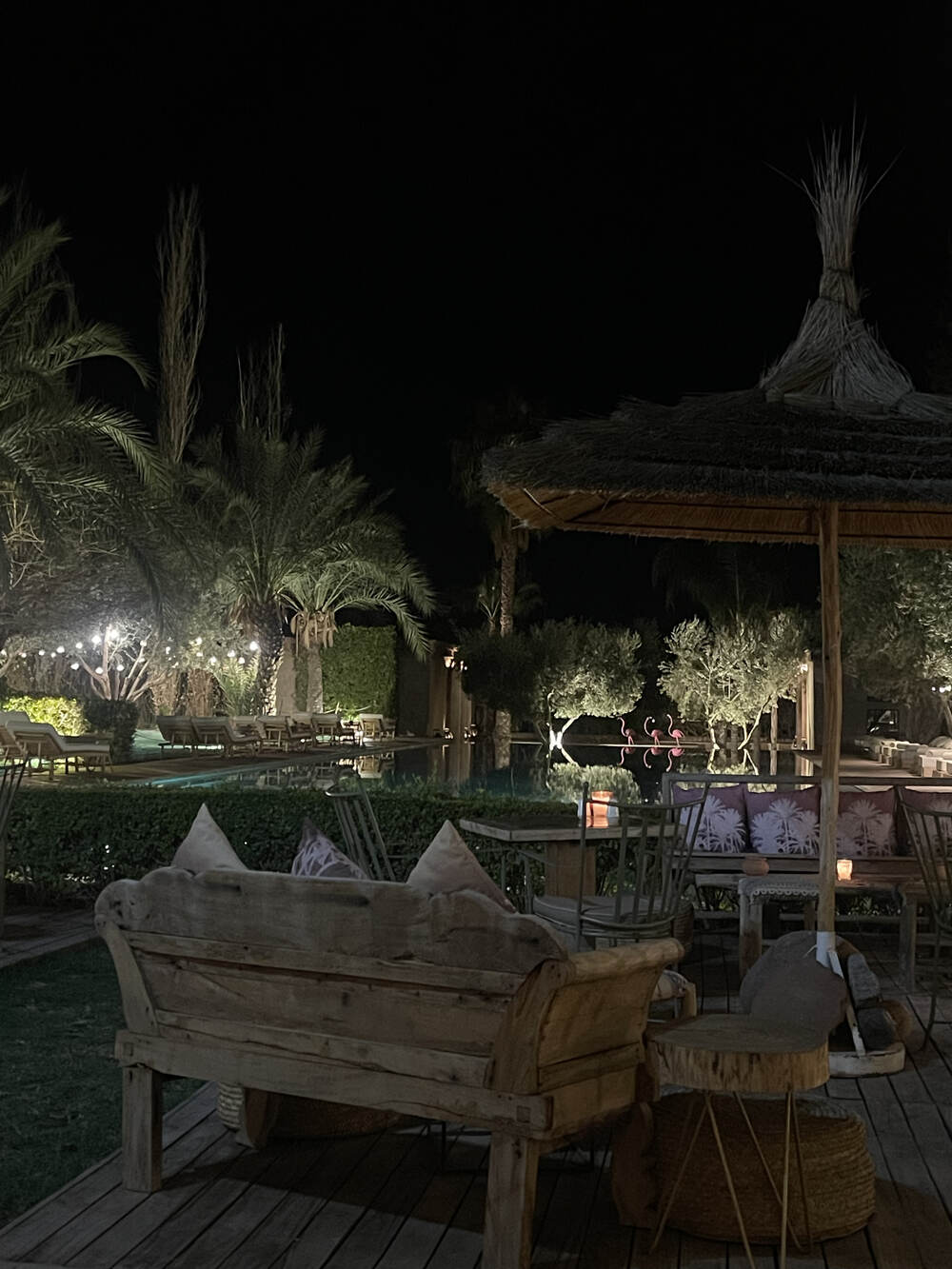 MANZIL LA TORTUE restaurant diner