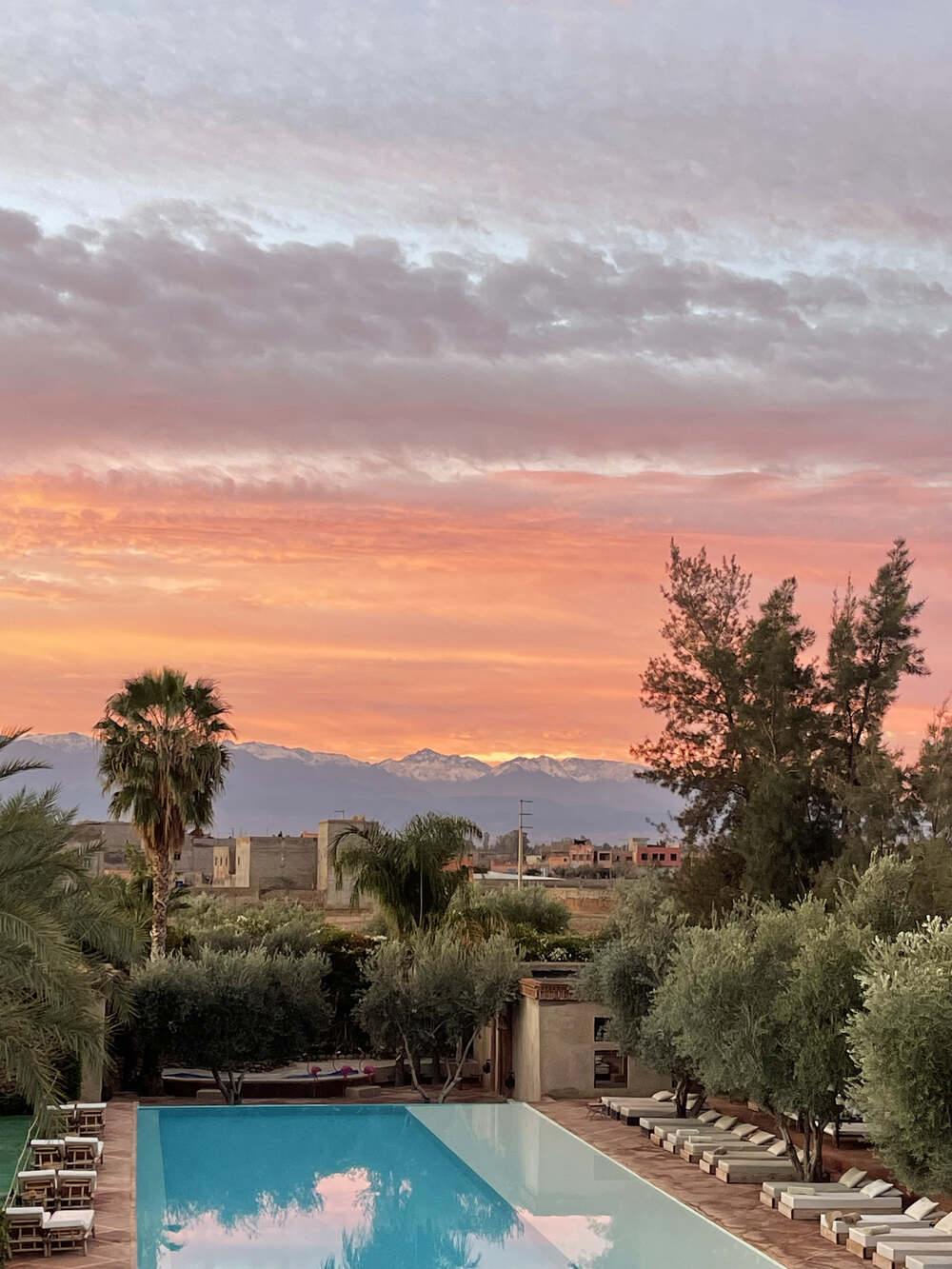 MANZIL LA TORTUE restaurant