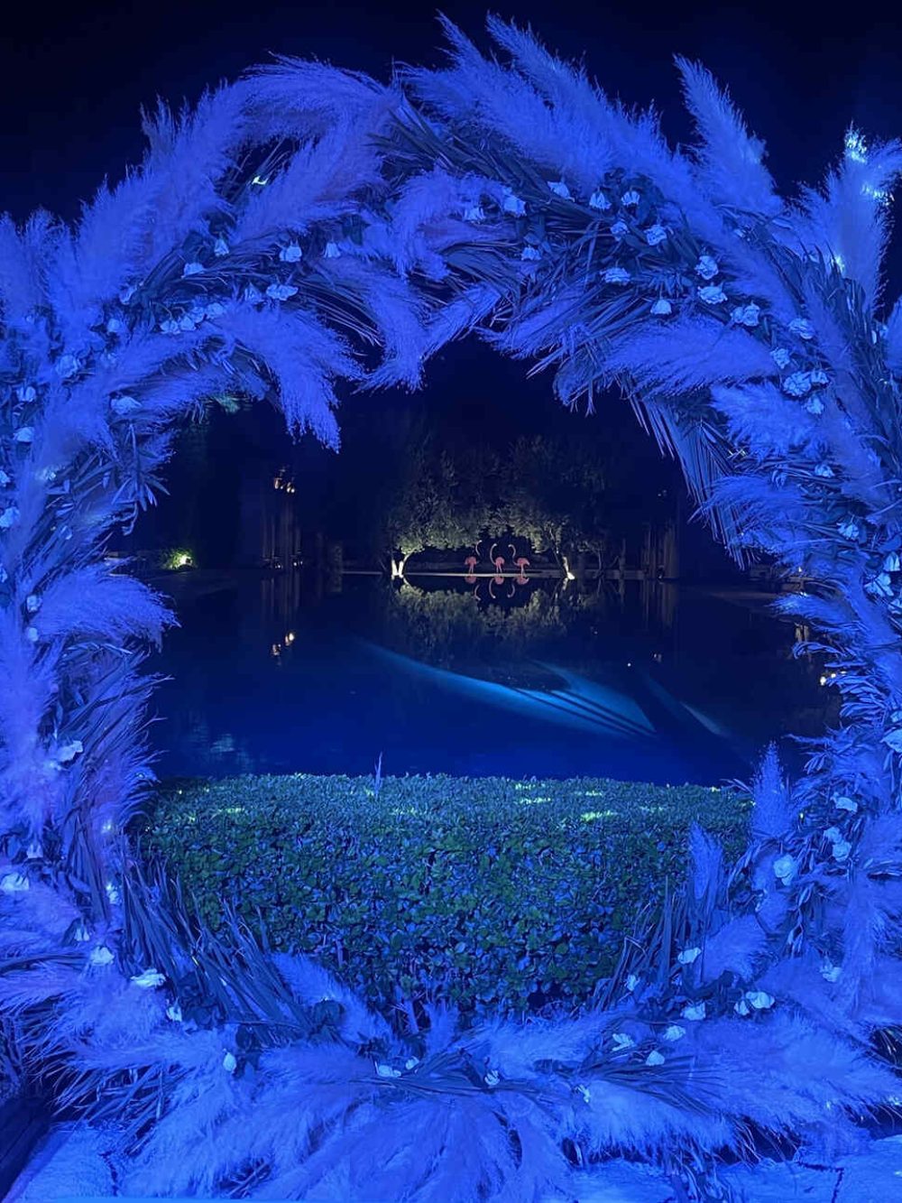 MANZIL LA TORTUE événementiel fête