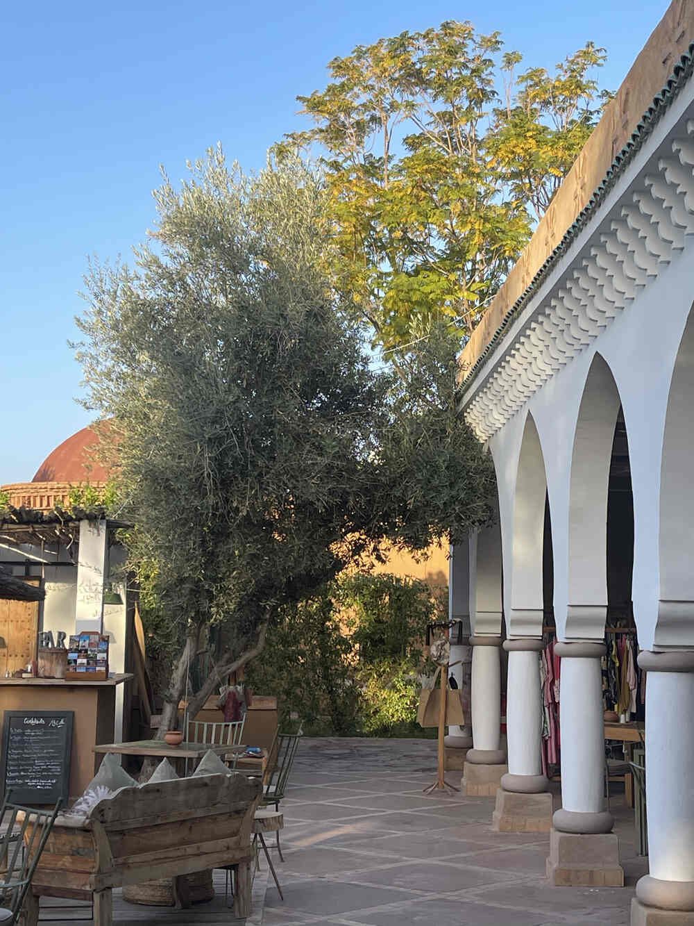 MANZIL LA TORTUE terrasse